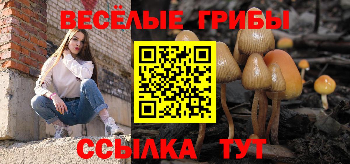 Углич  Псилоцибиновые грибы мицелий  Вход с VPN 