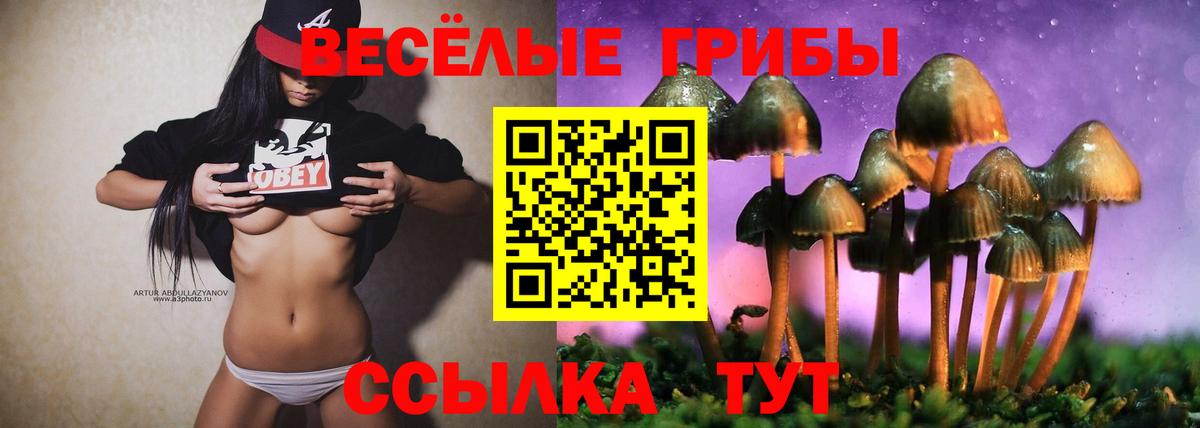 Псилоцибиновые грибы Magic Shrooms Углич